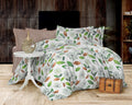 Parure de lit élégante 100% coton – Queen Size 200×220 cm – Coffret cadeau