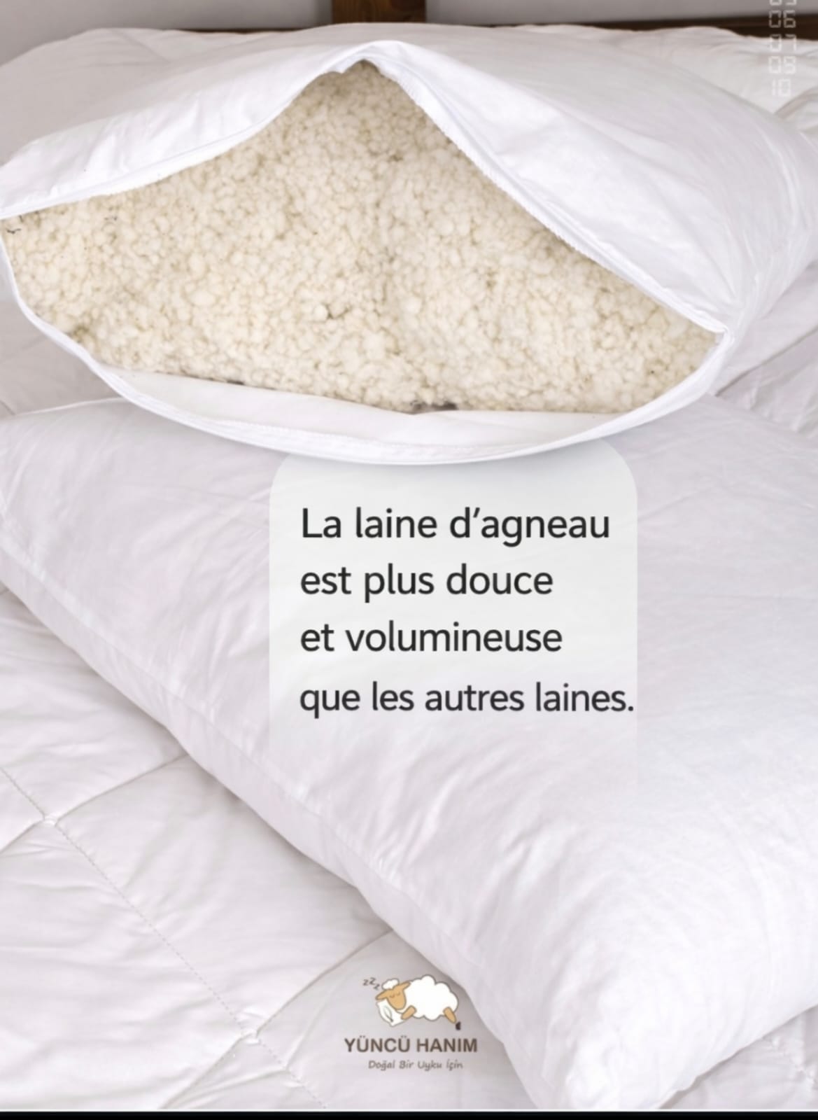 Oreiller Ferme en Laine Mérinos 50x70 – Garnissage 1250 g | Maison Royale Collection